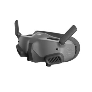 DJI Goggles 2 Motion Combo